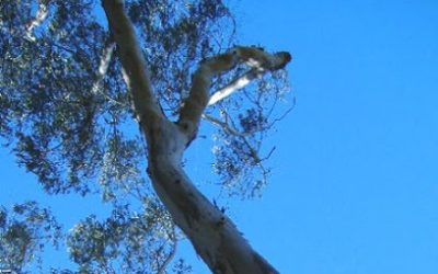 Spiritual Growth